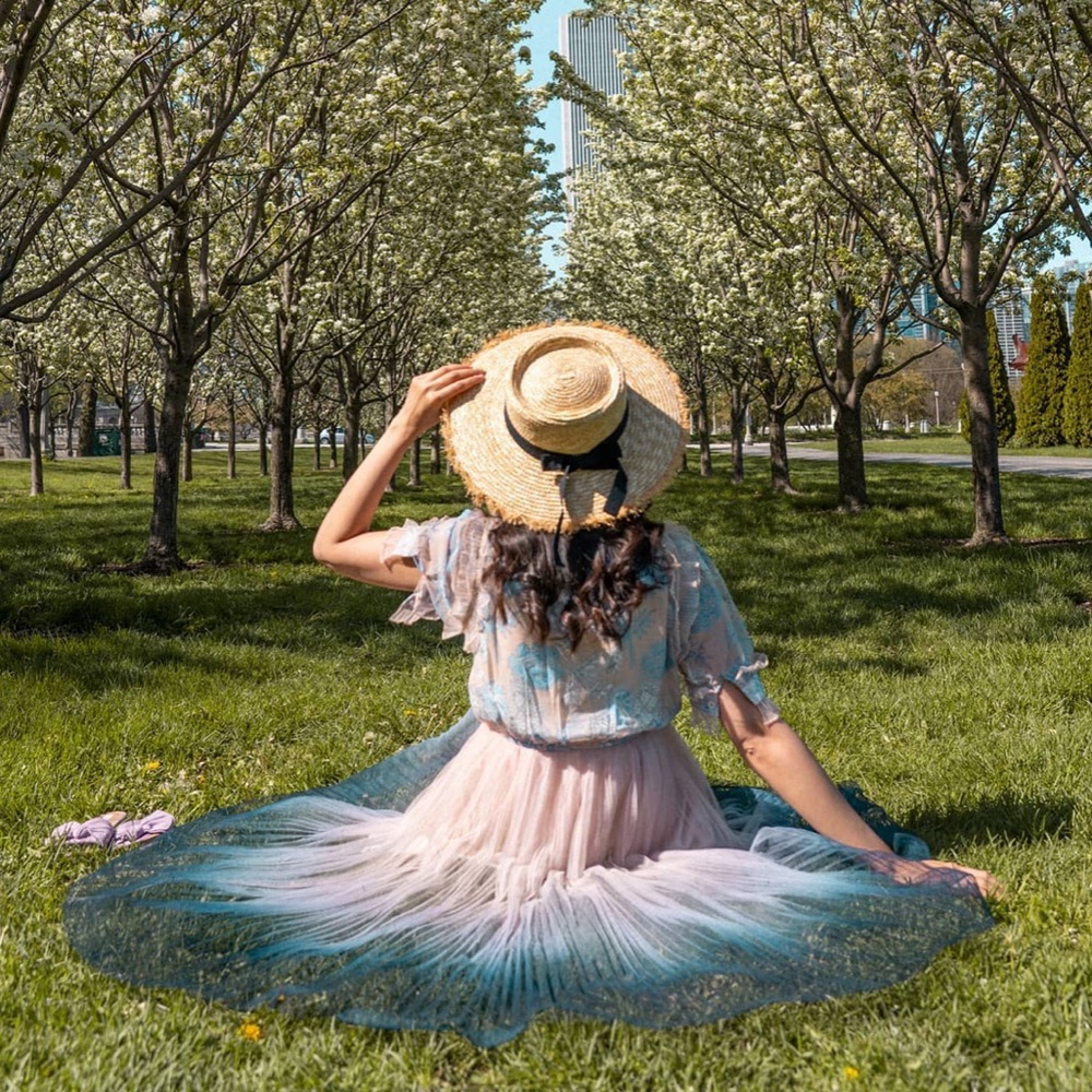 Nude and Navy Ombré Pleated Tulle Dress